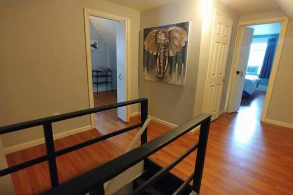 The House - New Storer #1 - Comfortable 5 Bedroom House